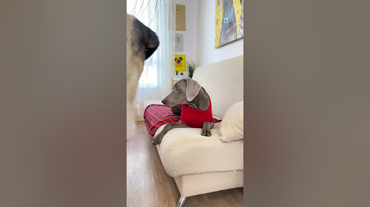 МЫ БРОСИЛИ ОСКАРА И ДЖОНИ НА НОВЫЙ ГОД😳