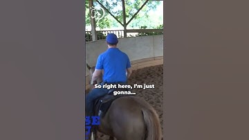 Build Confidence In Your Canter! Part 9! | The Horse Guru-Michael Gascon