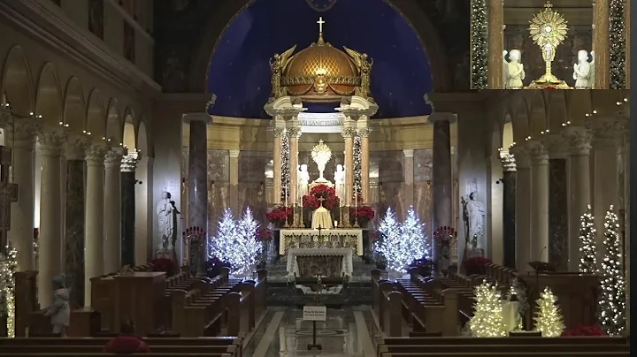 Kolbe Shrine Live Stream