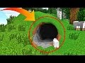 ТОЛЬКО 98% УВИДЯТ ЗДЕСЬ НЕКУБИЧЕСКУЮ ТРОЛЛИНГ ЛОВУШКУ! ТРОЛЛИНГ В MINECRAFT! TROLLING