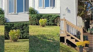 60 Cranberry Crescent Dartmouth, NS B2W 5A9