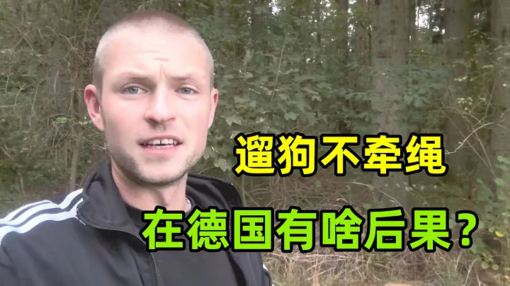 女童被狗咬伤触目惊心，在德国养狗是什么情况？值得我们借鉴吗 - 天天要闻