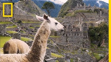 Journey Through Peru's Incredible Sights in 6 Minutes | Short Film Showcase Journey Through Peru's Incredible Sights in 6 Minutes | Short Film Showcase