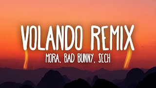 Mora x Bad Bunny x Sech - Volando Remix  (1 Hour Music Lyrics)