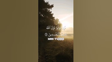 ماهر المعيقلي - سورة آل عمران ( برواية حفص عن عاصم ) الأية 63