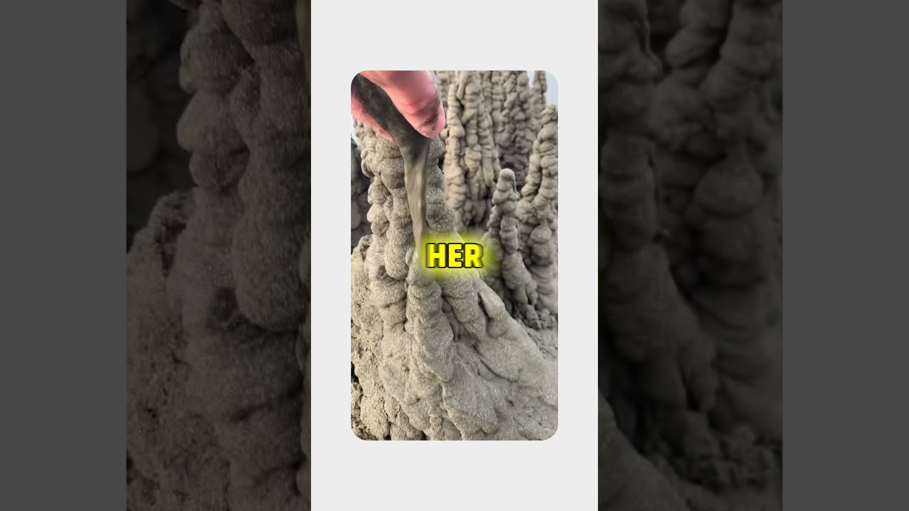 The Teacher Who Pushed Too Far…  