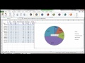 Chart in Excel - Pie Chart and Line Graph