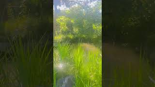 សូមទទួលបានអារម្មណ៍ល្អៗពីការស្ដាប់ភ្លេង #relax #bamboo1 #relaxing #bambooacademy #meditationmusic