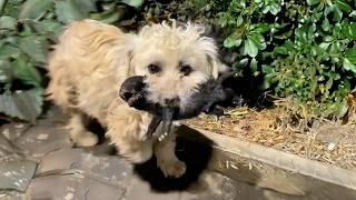 We've Only Met Twice, and She Has Already Bought Her Baby...