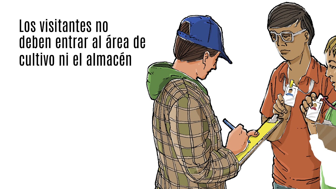 CSC Food Safety CHAPTER G SPANISH YouTube