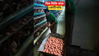 প্রতিদিন ৪০ হাজার টাকা ইনকাম ডিম বিক্রি করে! মুরগি ফার্মের সফলতা গল্প, #chickenfarming