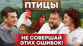 картинка: Птицы – самый простой бизнес в деревне! Советы новичкам | Куры, перепела, бройлеры
