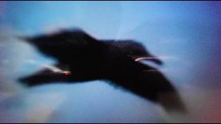 Slow Pulp – Spill