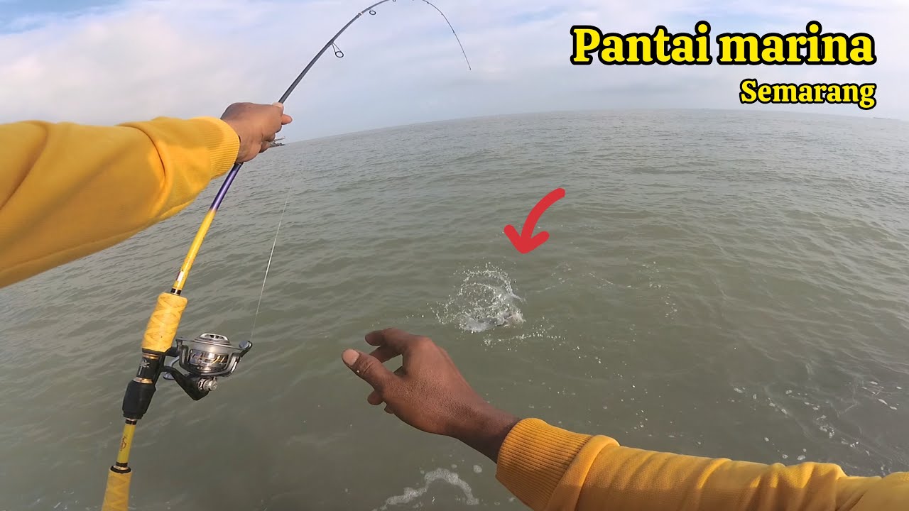 Mimpi apa saya semalam, mancing bisa sampe seperti ini ❗ Pantai marina semarang