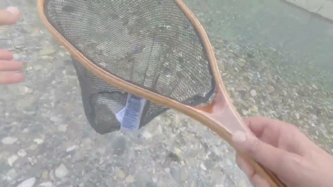 fly fishing in North East Italy - Part II
