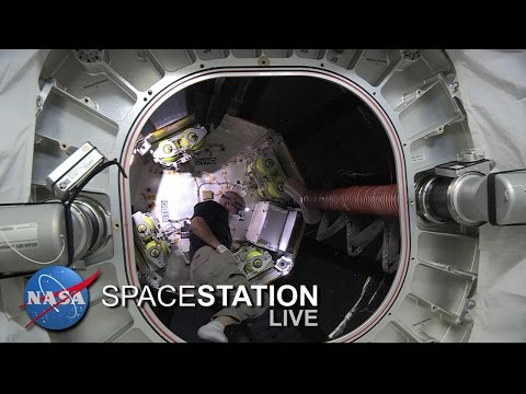 How Many Astronauts Can Fit Into An Inflatable Space Habitat?