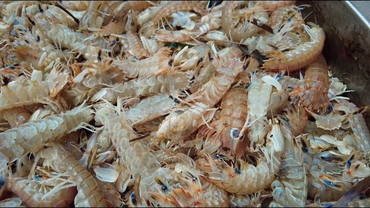 Szicíliai utazás 7 nap 7 hely - 1. nap Catania