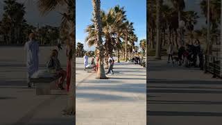🏖️ Playa Flamenca Beach. Orihuela Costa. Spain / España 🇪🇸