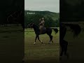 В Катон-Карагай возвращается жизнь. Репортаж