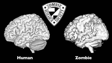 Zombie Research Society - Human and Zombie Brain