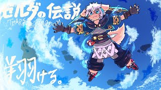 【ゼルダの伝説TotK】#18:翔ける。【初見】