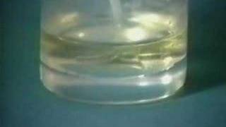 Synthesis of Nylon