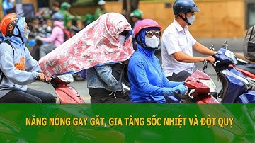 Nắng nóng gay gắt, gia tăng sốc nhiệt và đột quỵ | VTC16