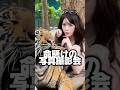 タイで命懸け写真撮影会🐅💦ネコ!って思っても流石に怖すぎた😣💓値段は可愛くないけど色んなトラを間近で見れていい経験すぎたの🫢穏やかな時間もあって可愛かった📍タイガーパークパタヤ