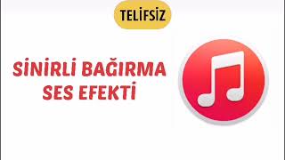 SİNİRLİ BAĞIRMA - Ses Efekti(Telifsiz) Resimi