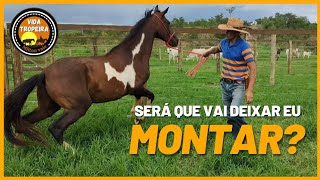 MONTANDO EM CAVALO XUCRO MUSTANG