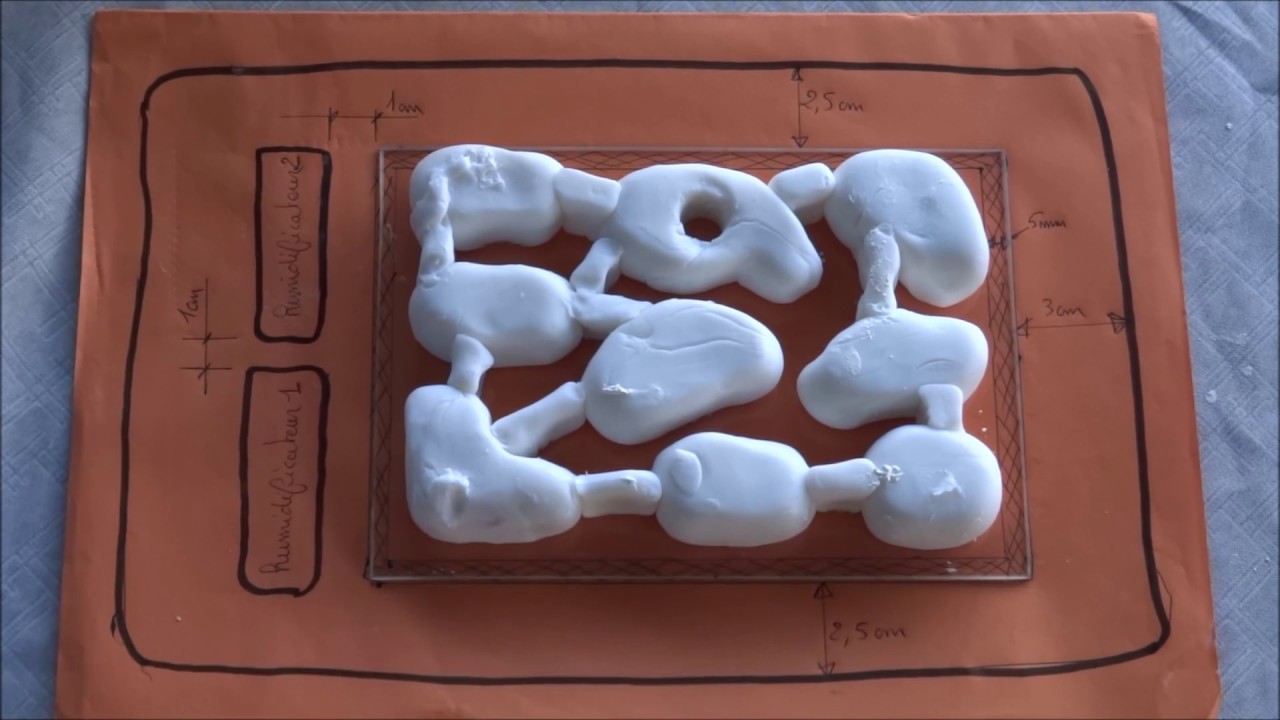 Comment fabriquer une fourmilière ? Facile et bien expliqué #1