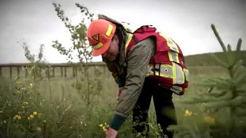 Advancing reclamation - Sandhill Fen Research Watershed