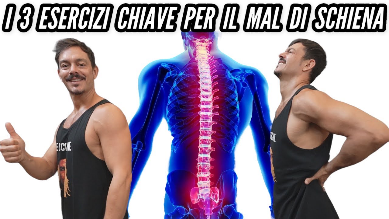 I 3 ESERCIZI CHIAVE PER IL MAL DI SCHIENA / I veri addominali per il ...