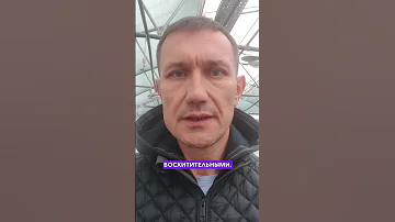 Высаживаем тюльпаны на выгонку  #тюльпаны #посадкатюльпанов #выгонкатюльпанов #цветы  @SadyRossii