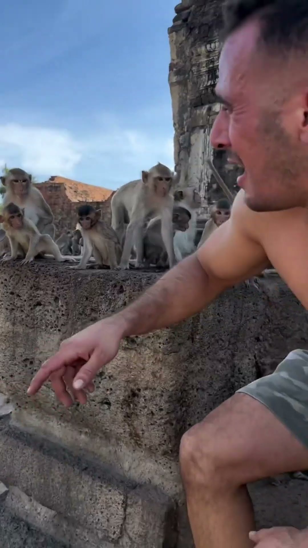 this boy talk to these monkeys #shortsvideo