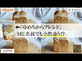 ４種類のゆめちからブレンドでパンを作り比べた驚きの結果！吸水や味の違いを解説
