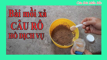 Bài Mồi Xả Câu Rô Phi Hồ Dịch Vụ Đơn Giản - Hiệu Quả Cao | Câu Đài Miền Bắc