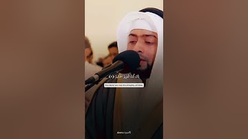 تلاوة جميلة لسورة غافر روائع التلاوة للشيخ #أحمد_النفيس | تلاوة خاشعة مميزة
