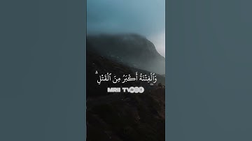 القرآن الكريم سورة البقرة الاية 217