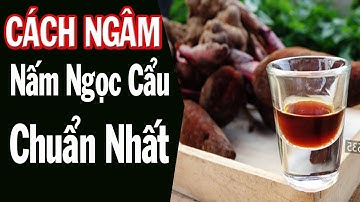 Nấm Ngọc Cẩu Và Cách ngâm rượu nấm ngọc cẩu chuẩn nhất