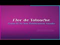 Flor De Toloache &amp; LP Norteño - Como Si No Nos Hubiéramos Amado (Lyric Video)