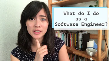 O que é um software engineer?