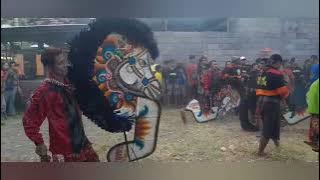 LEGOWO PUTRO,detik-detik penonton adu mekanik,saat perang celeng