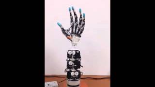 The highly Biomimetic Anthropomorphic Robotic Hand