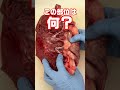 この部位は何?牛肉の部位クイズ #料理 #焼肉 #精肉店