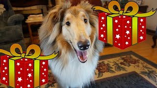 Christmas 2022 Present Opening For Clary! by Creative Diamond Dogs 62 views 1 year ago 2 minutes, 55 seconds