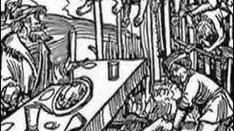 Anorgan - en ny sang