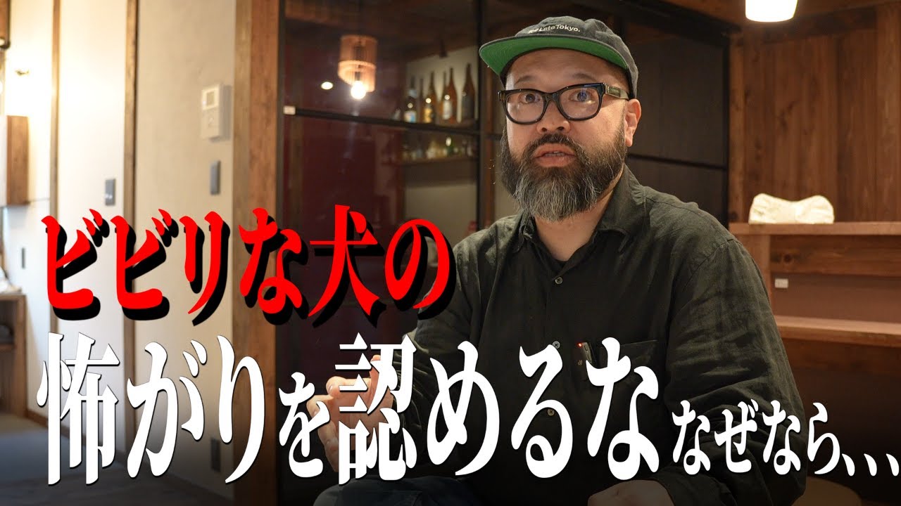 【有料級】人間社会で過ごす犬に必要な力は実はこれだけなのかもしれない