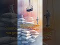 Magnesium Hydroxide（CAS No：1309-42-8;1909-42-8;12195-86-7;）#FineChemicals #ShengheChemical #ChemSP