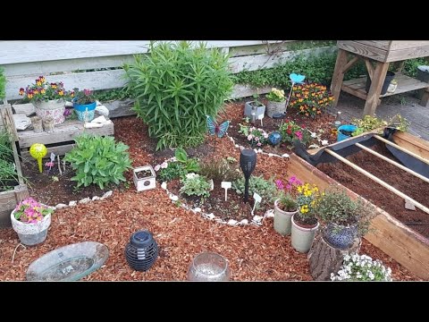 Video: Marigolds - Ons Mooi Helpers In Die Tuin En Groentetuin